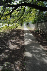 The Wentworth Falls town street in the Blue Mountains national park, Australia