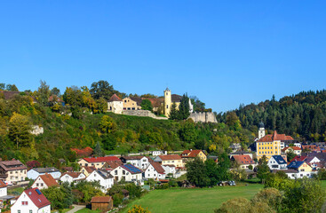 Möhren in der Frankenalb