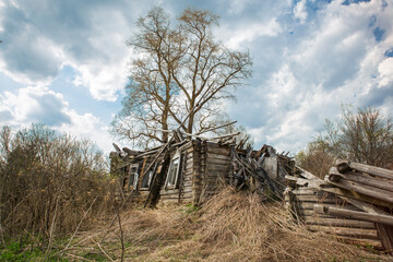 Old rustic wooden log house destroyed, without a roof against a blue sky with white clouds. Rural scene, olden time