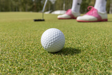 Golfer women preparing for a putt on the green during golf course. 