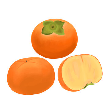 柿-秋の味覚-persimmon