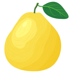 Fresh bright exotic whole yellow pomelo fruit isolated on white background. Summer fruits for healthy lifestyle. Organic fruit. Cartoon style. Vector illustration for any design.