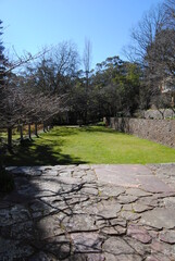 The outdoor garden by the house in rural Australia, The Blue Mountains national park