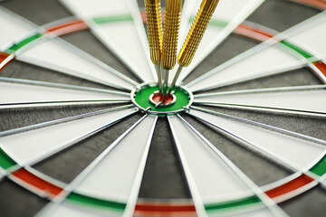 Darts. The dart for playing in the game board is stuck. Hit the sector in darts. The concept of a...