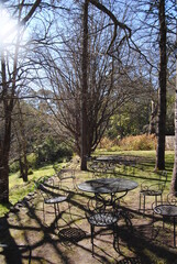Fototapeta premium The outdoor garden by the house in rural Australia, The Blue Mountains national park