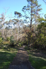 The landscape view of the fields in the Blue Mountains on the sunny day