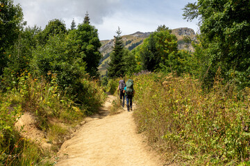 Obraz premium Panorama of mountains and subalpine meadows covered with vegetation in the summer - places to visit and walk for tourists and outdoor enthusiasts.