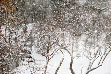 Winter landscape of country fields and roads