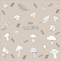 Autumn illustration. Leaves and mushrooms.Vector illustration.
