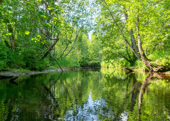 Fototapeta na wymiar landscape with forest river reflection view, green forest river view