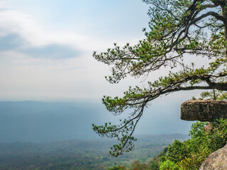 Obraz na płótnie Canvas Beautiful scenery view of Lomsak Cliff on Phu Kradueng mountain national park in Loei City Thailand.Phu Kradueng mountain national park the famous Travel destination