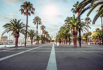 Fototapeta na wymiar promenade In the streets of Barcelona Spain.