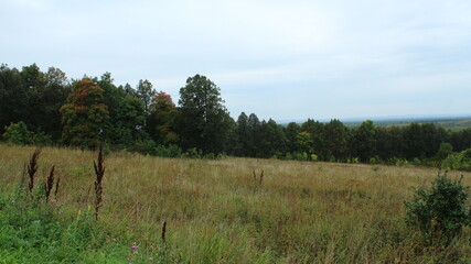 Autumn, plain covered with forest in the rain