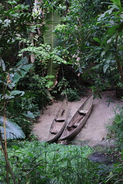 Two canoes in a rain forest.