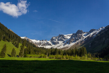 Fototapeta na wymiar Schweizer Berge im Diemtigtal