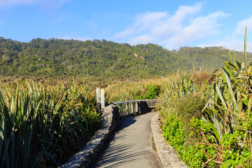 Walkway in summer of Punakaki Pancake Rocks in Paparoa National Park, West Coast, South Island of New Zealand.