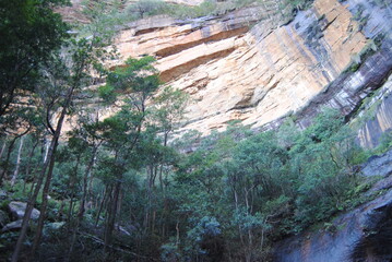 Hiking hear waterfalls in Wentworth Falls in Blue Mountains national park, Australia