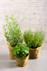 Rosemary, Thyme, Mint