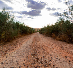 Fototapeta premium Path 2