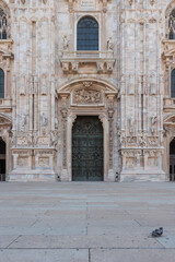 Obraz premium Pigeon laying on the paving of the Milan Cathedral square