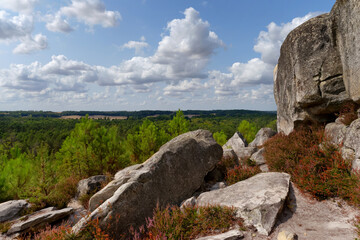 Panoramic view at Cailleau rock in the Fontainebleau forest
