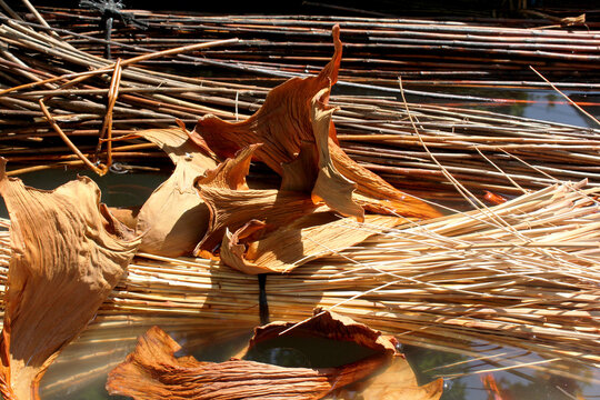 fibres s&egrave;ches