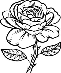 Rose stem of scratch style. Sketch engraving vector illustration. Scratch board style imitation. Black and white hand drawn image. 
