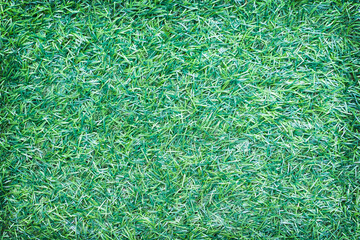 Top view green grass texture nature seamless patterns background