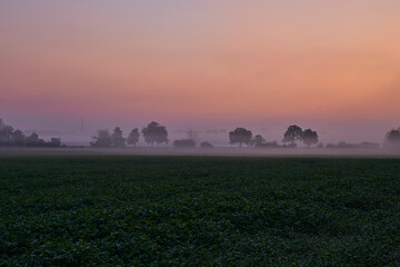 Septembermorgen