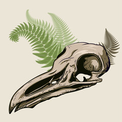 Seagull skull in fern leaves. - 377493923