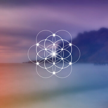 Flower of life sacred geometry illustration with intelocking circles and light dots in front of photographic background. Hipster tree of life sci fi art