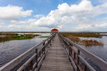 Obraz premium Wooden bridge for travel and see nature ecology at Khao Sam Roi Yot National Park, Prachuap Khiri Khan Thailand.