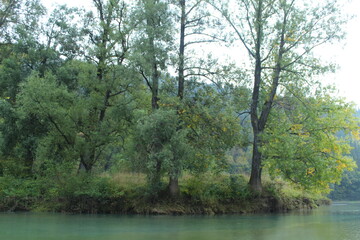Fototapeta na wymiar River and trees in a cloudy autumn in the rain