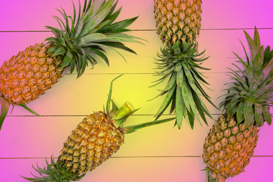 Pineapple fruit colorful filter image for summer holiday background.