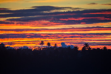 Dark silhouettes of palm trees and amazing cloudy sky on sunset at tropical island in Indian Ocean. High quality photo