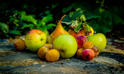 Obst auf Mauer