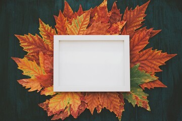 Autumn background. Blank sheet of paper with yellow leaves on wooden background. background with space for text.Autumn greeting card - 377496143