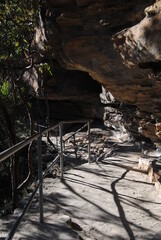 The view to the valley with the trees and the waterfall in the Blue Mountains national park in Australia
