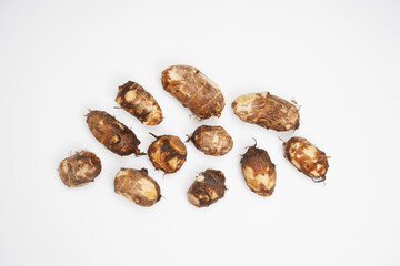 colocasia esculenta roots isolated on white background