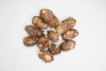 colocasia esculenta roots isolated on white background