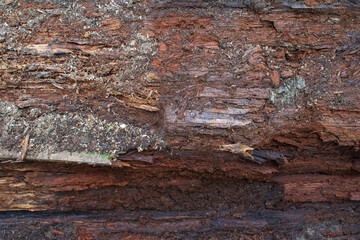 An old wooden textured timber as abstract background. Close up.
