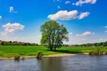 view from the elbe to the elbauen in dresden