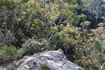 Hiking near waterfalls in Wentworth Falls in Blue Mountains national park, Australia