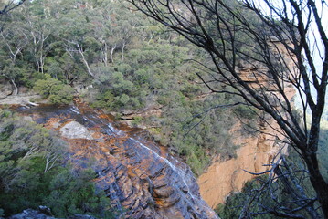 Fototapeta premium Hiking near waterfalls in Wentworth Falls in Blue Mountains national park, Australia