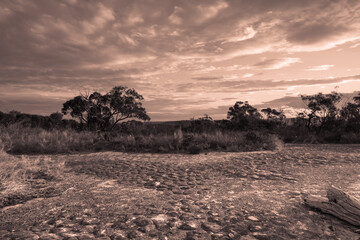 Australian Bush Sunset with Tessellated Rock in Sepia