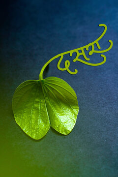 Indian festival dussehra , green leaf, dasra in marathi calligraphy