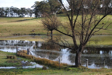 Country side with the cliffs in the valley in the Blue Mountains national park in NSW, Australia
