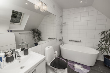 Beautiful view of the bathroom interior in the house. Roof window with large mirror, sink,  toilet bowl and bath with shower.