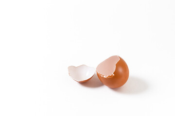 chicken broken egg on white background