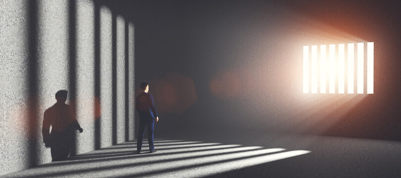 Businessman in jail. Economic offence and punishment